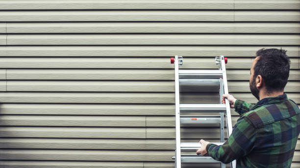 Best Residential Vinyl Siding Installation  in Three Oaks, MI